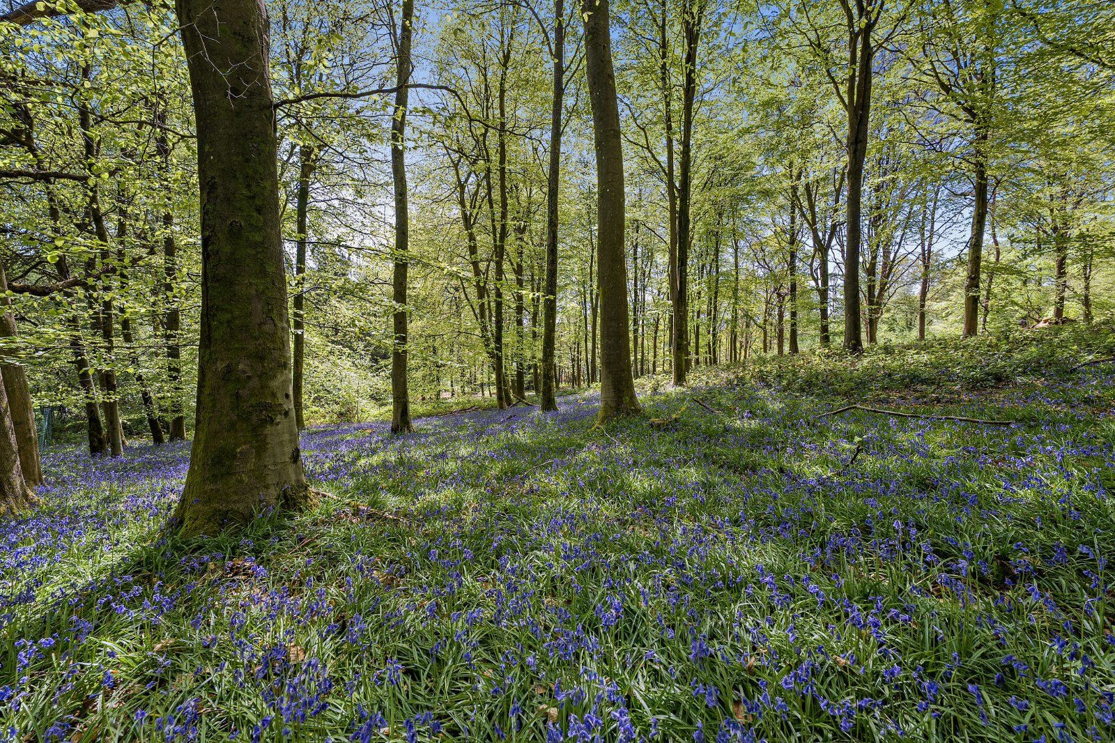 Possingworth Park
