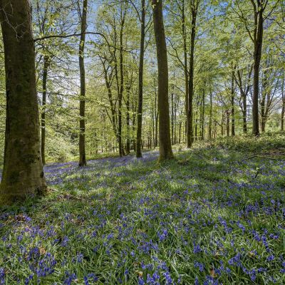 Possingworth Park