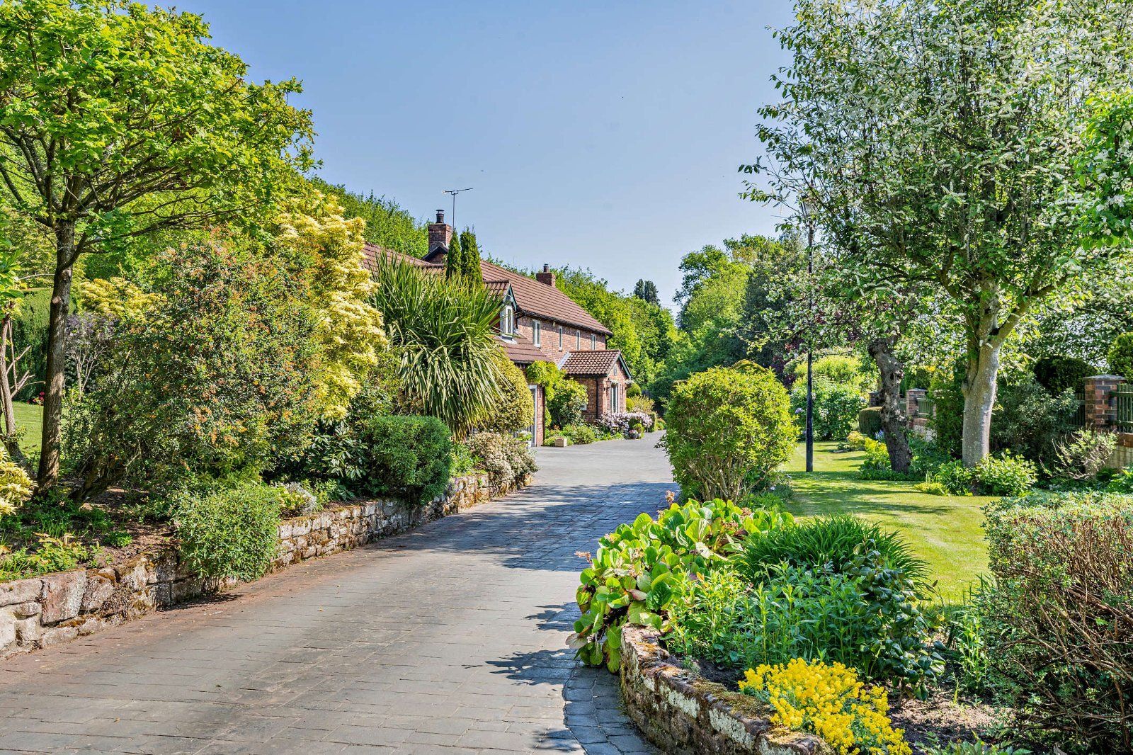 Driveway