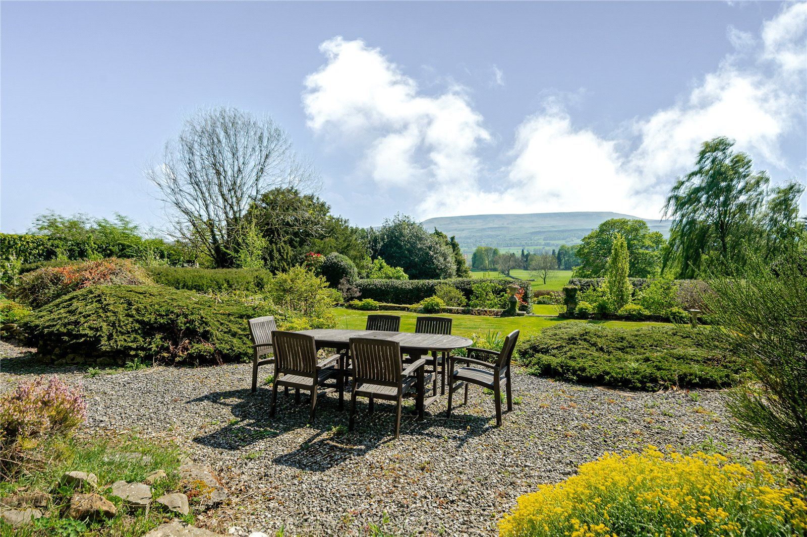 Patio Area