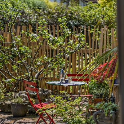Courtyard Garden