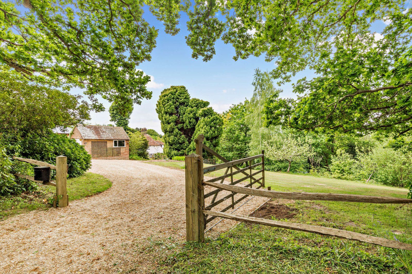 Driveway