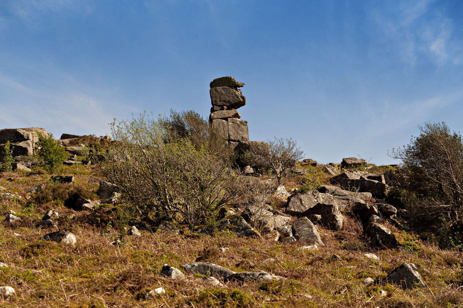 Bowerman's Nose