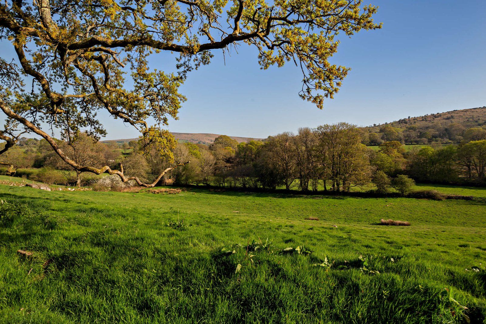 Farmland