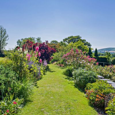 Manor House Garden