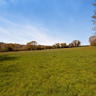Farmland