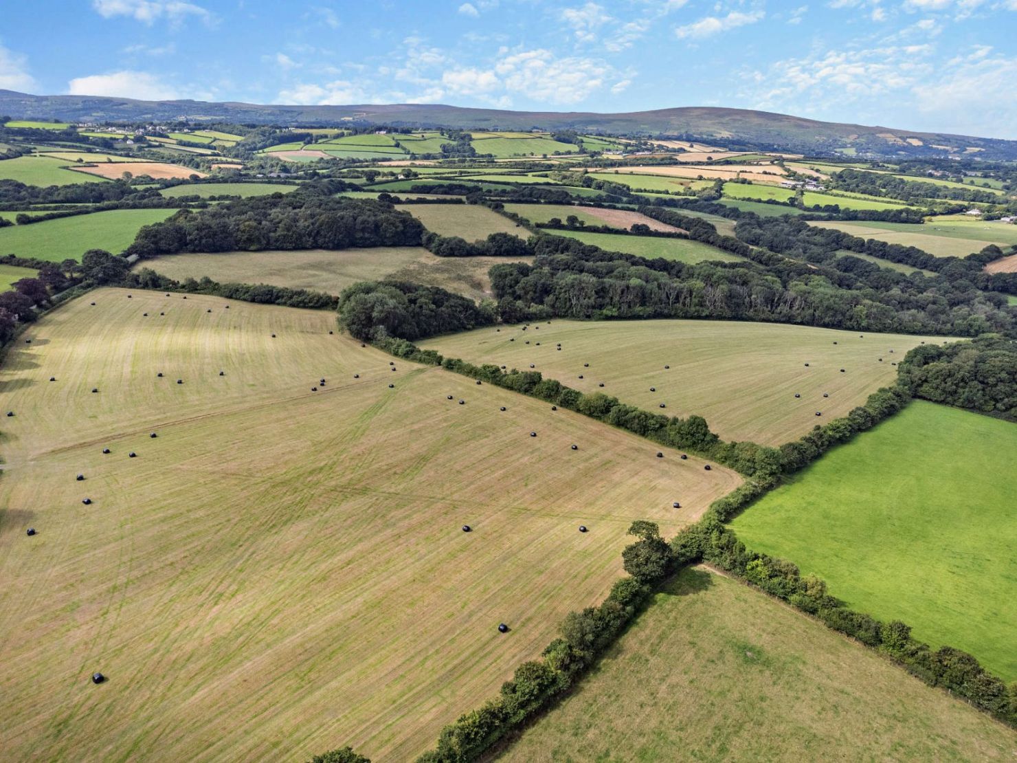 Farmland