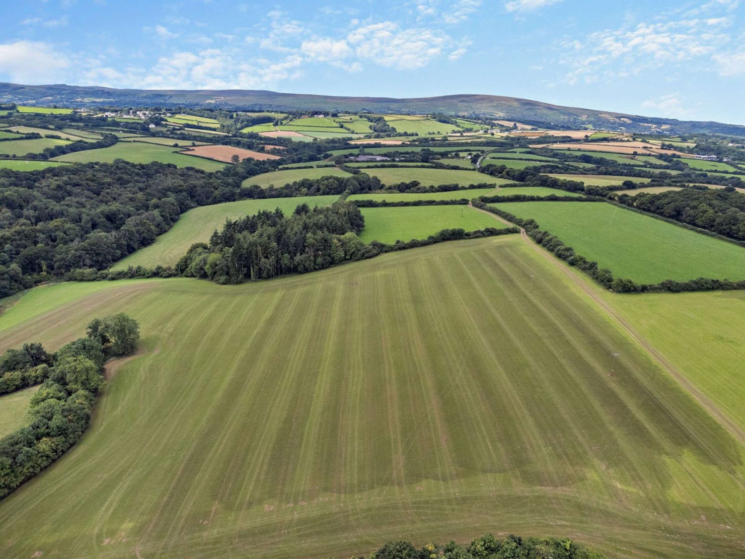 Farmland
