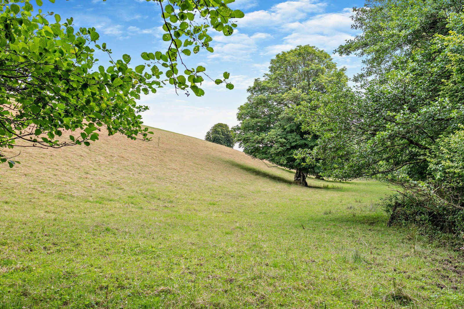 Farmland