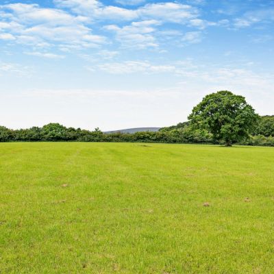 Farmland