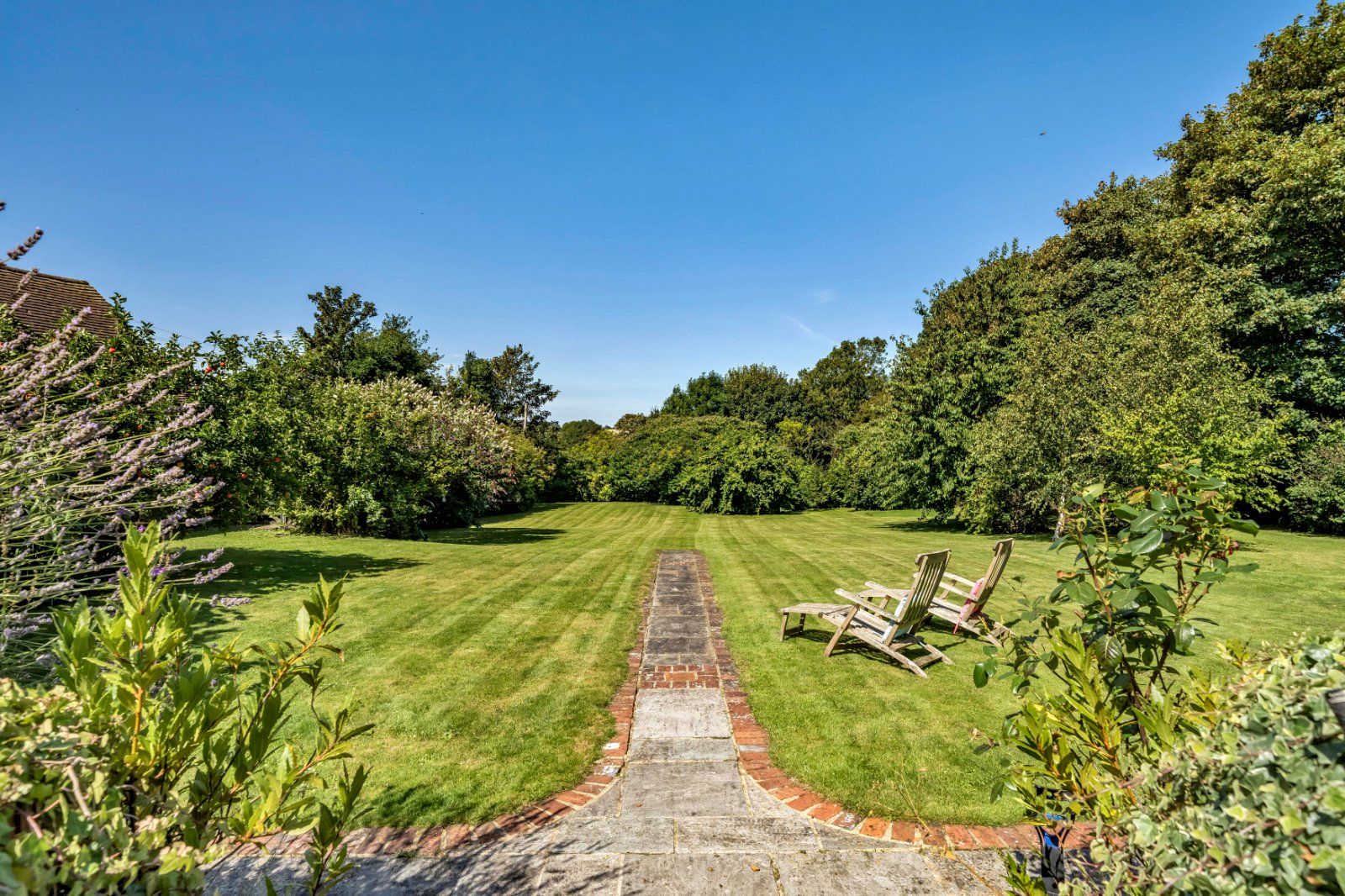 Grounds