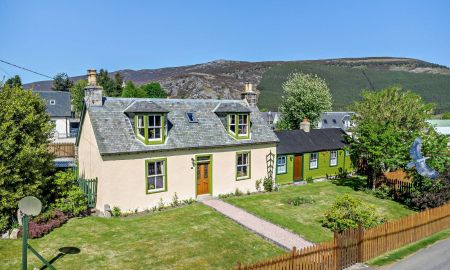 Daisy Bank
