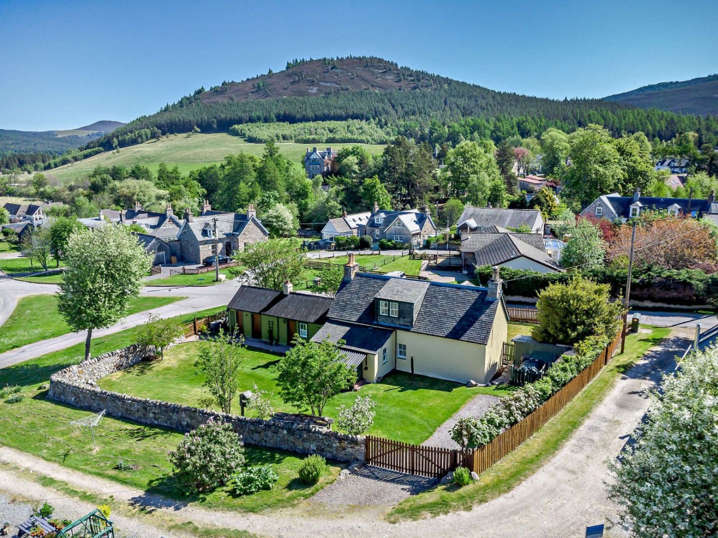 Daisy Bank