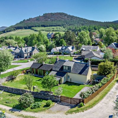 Daisy Bank