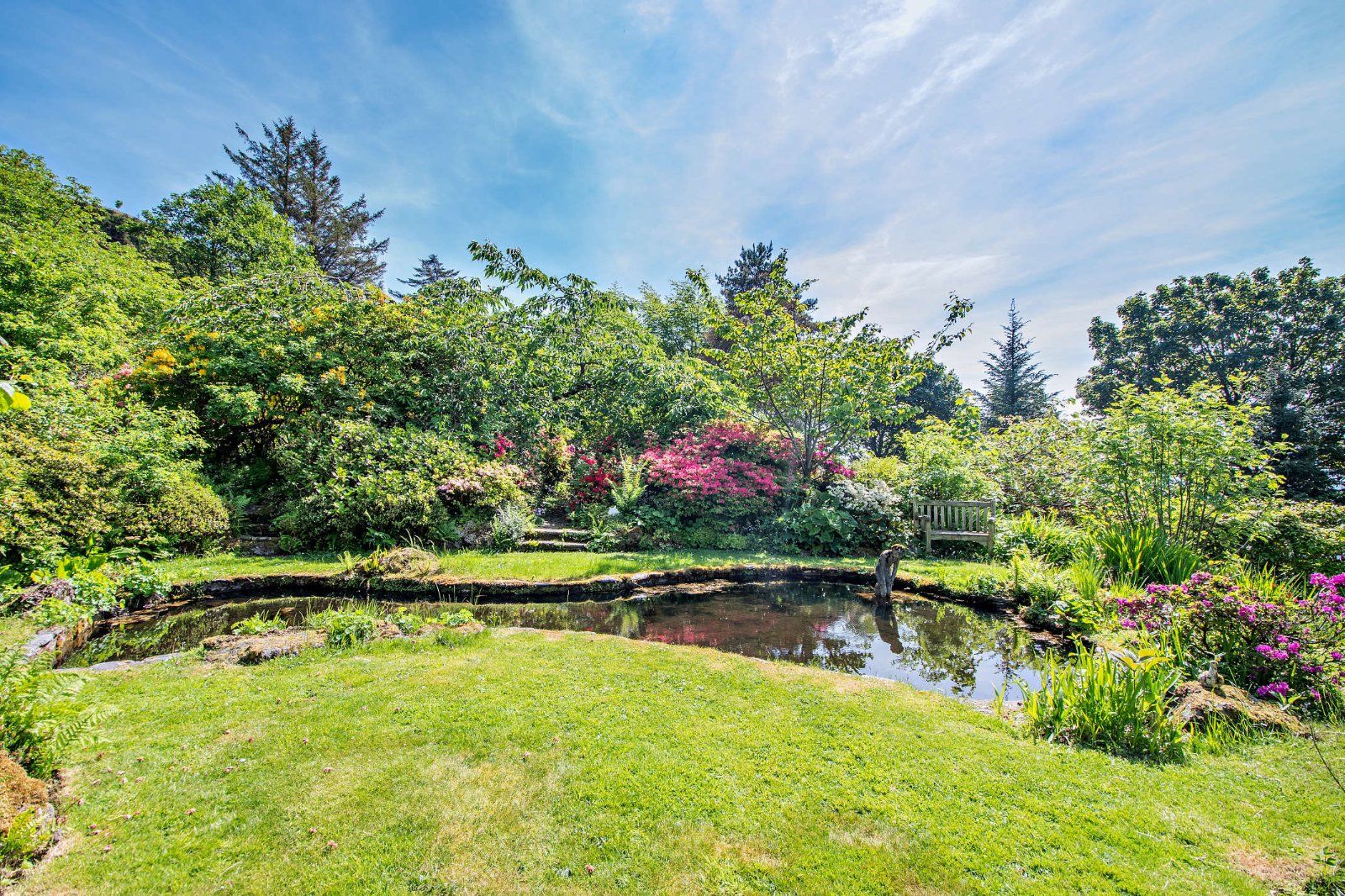 Water Feature
