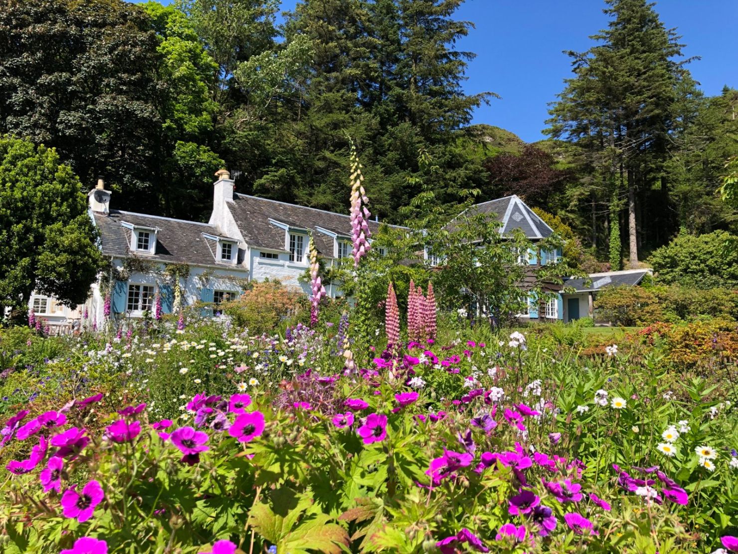 Gardens