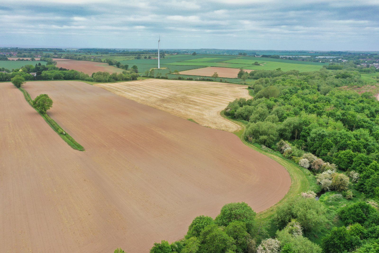 Woodland & Arable