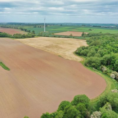 Woodland & Arable