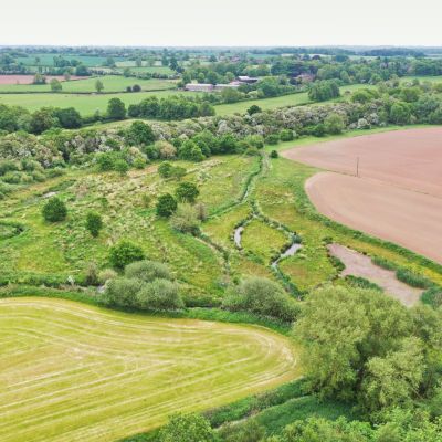 Wetland & Woodland