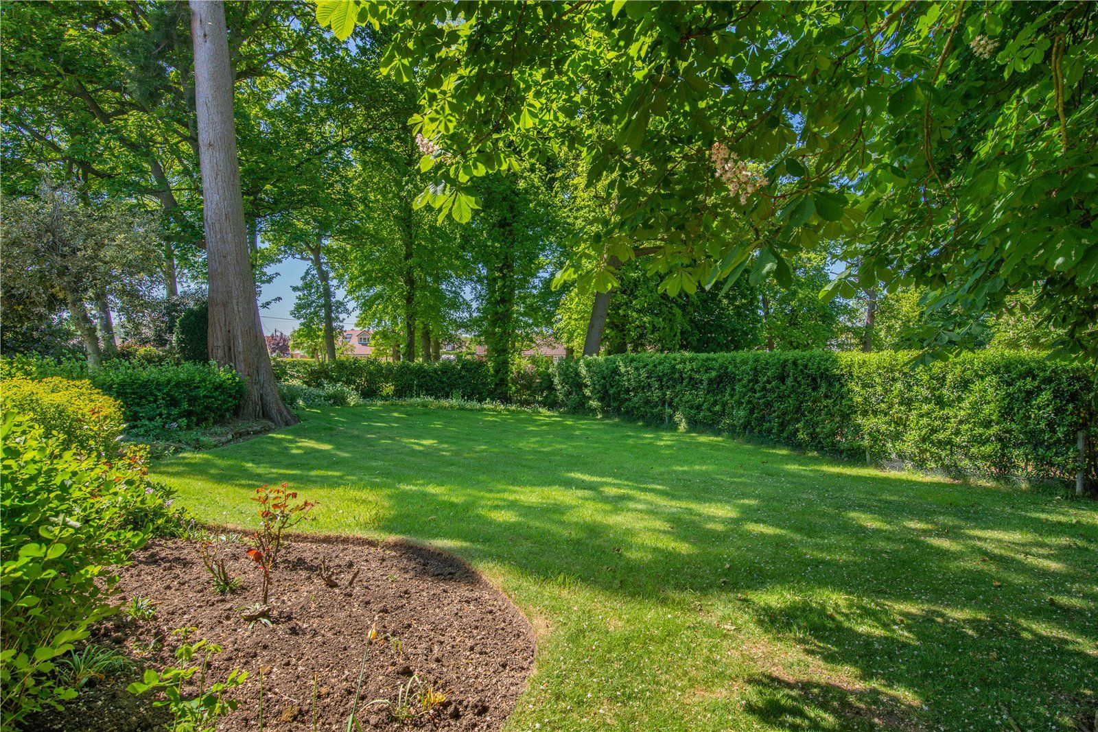Mature Gardens