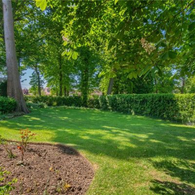 Mature Gardens