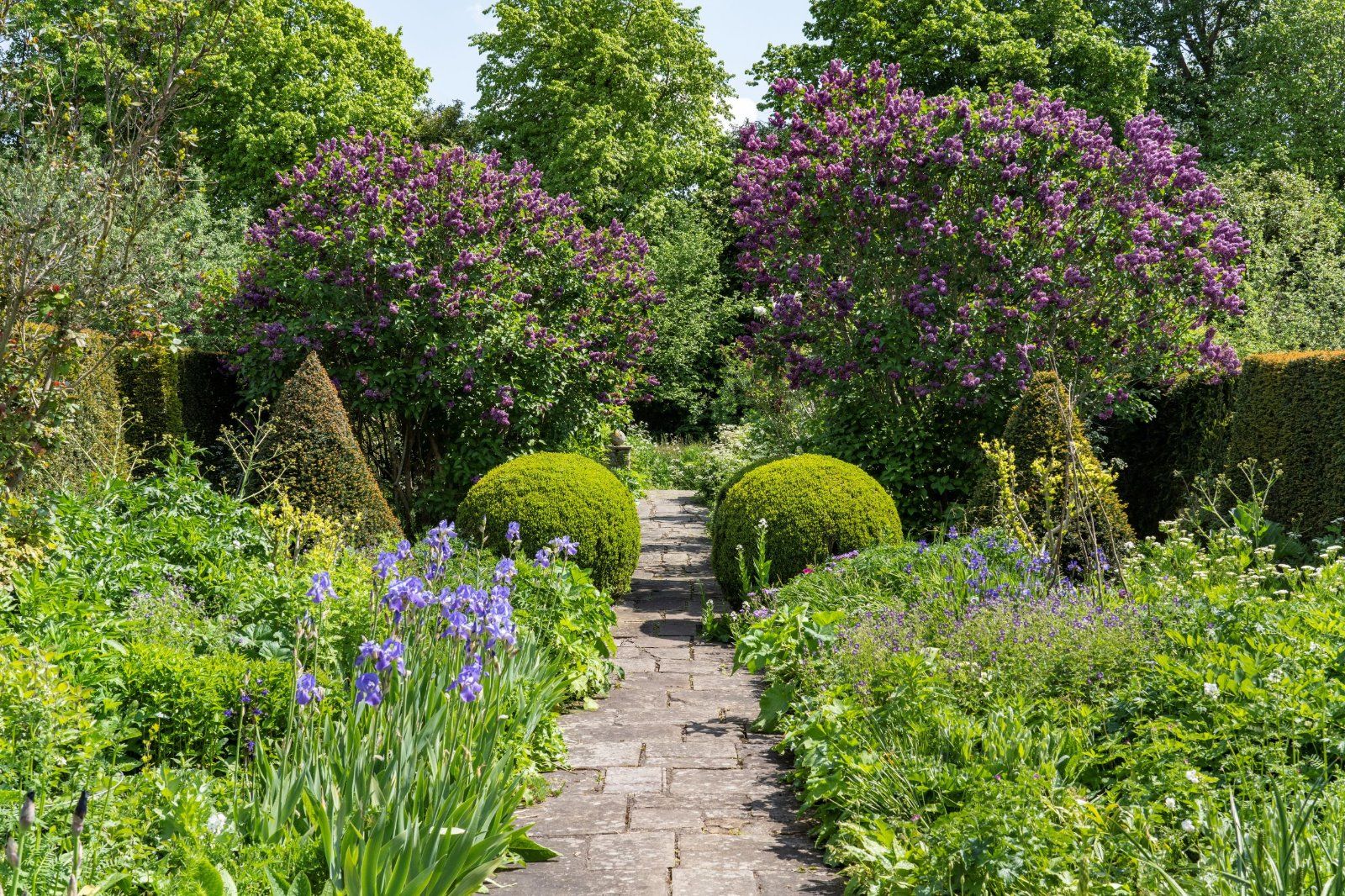 Formal Gardens