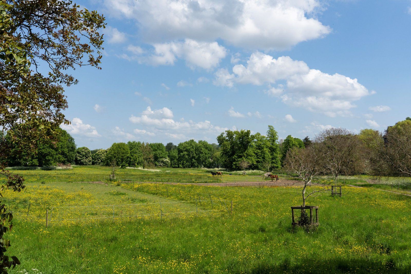 Grounds