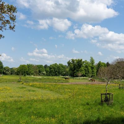 Grounds