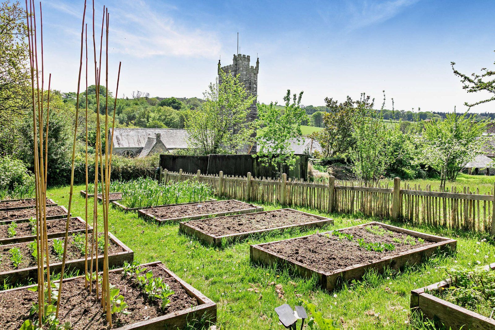 Grounds