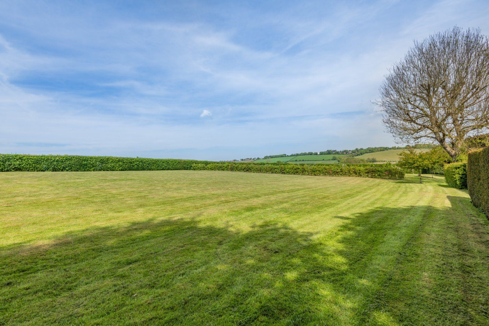 Grounds
