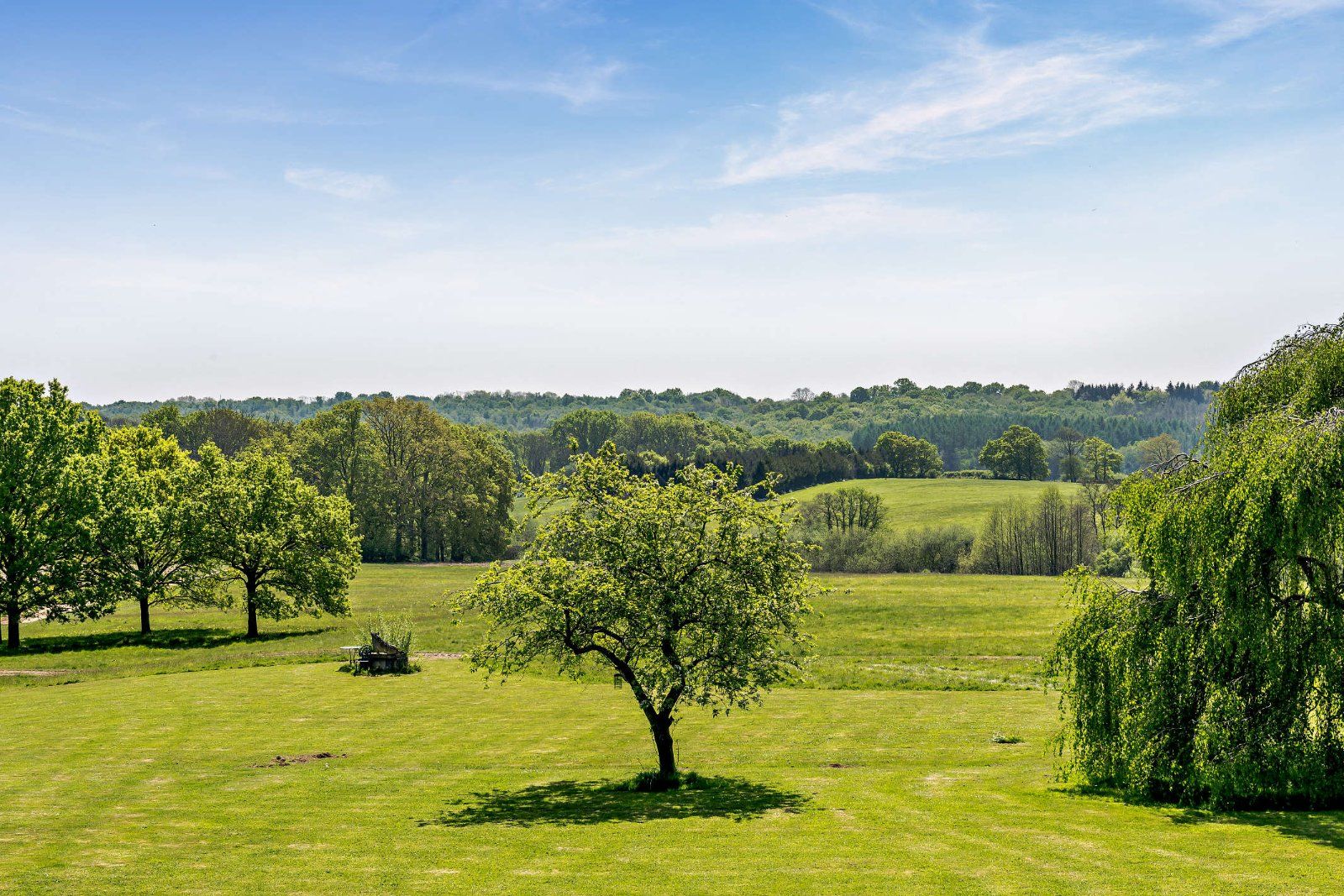 Grounds