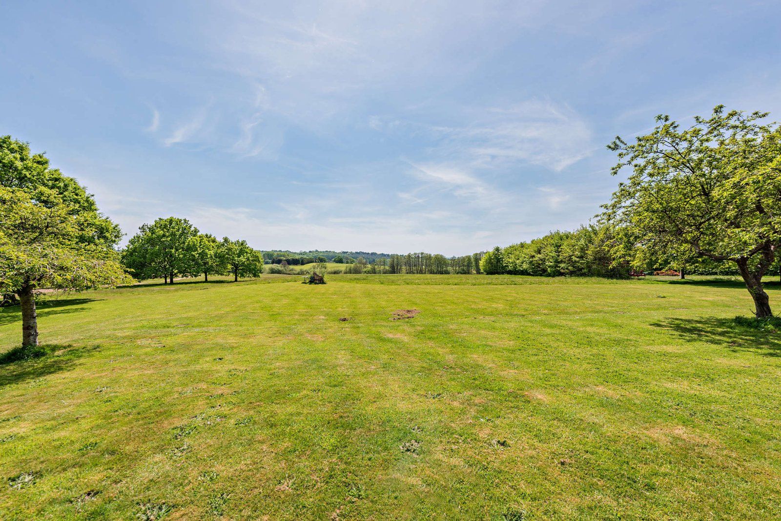 Grounds