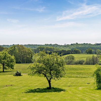 Grounds