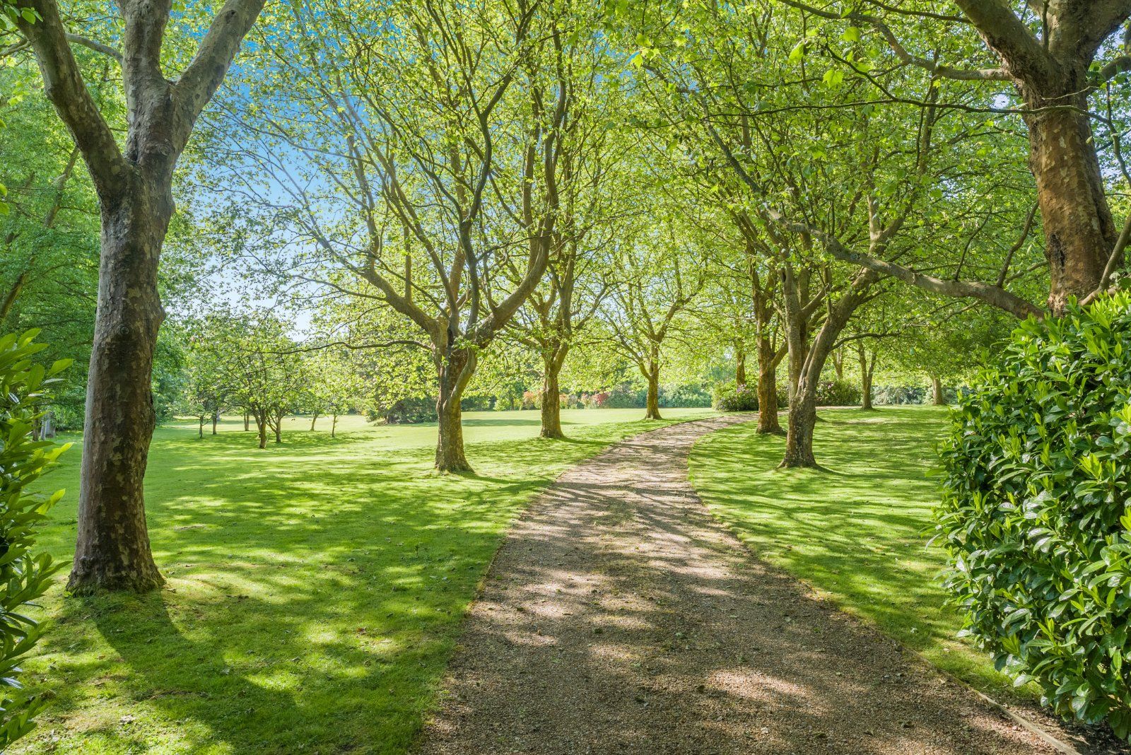 Driveway