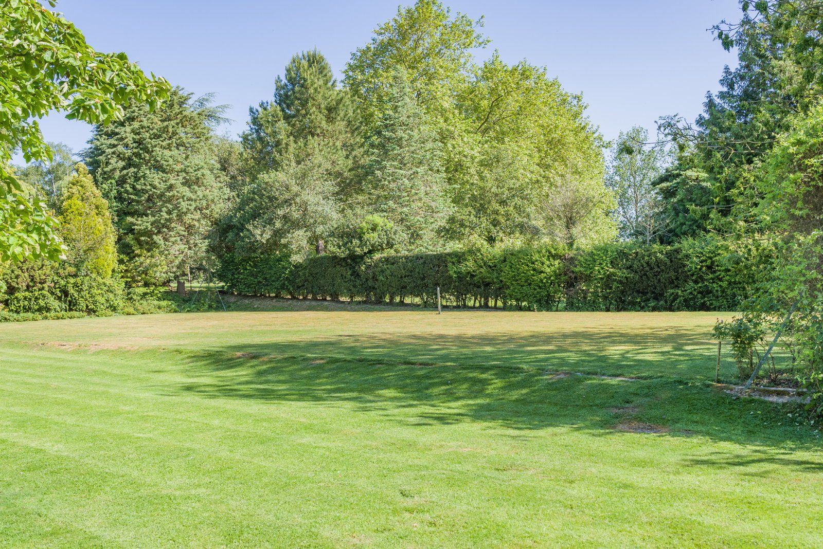 Grounds