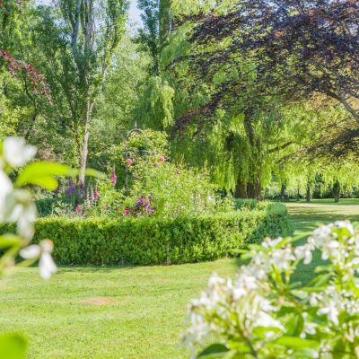 Grounds