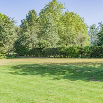 Grounds