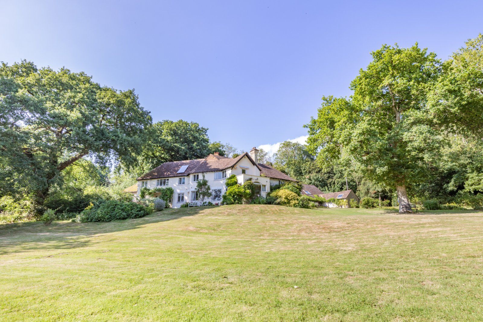 Aldergate Wood