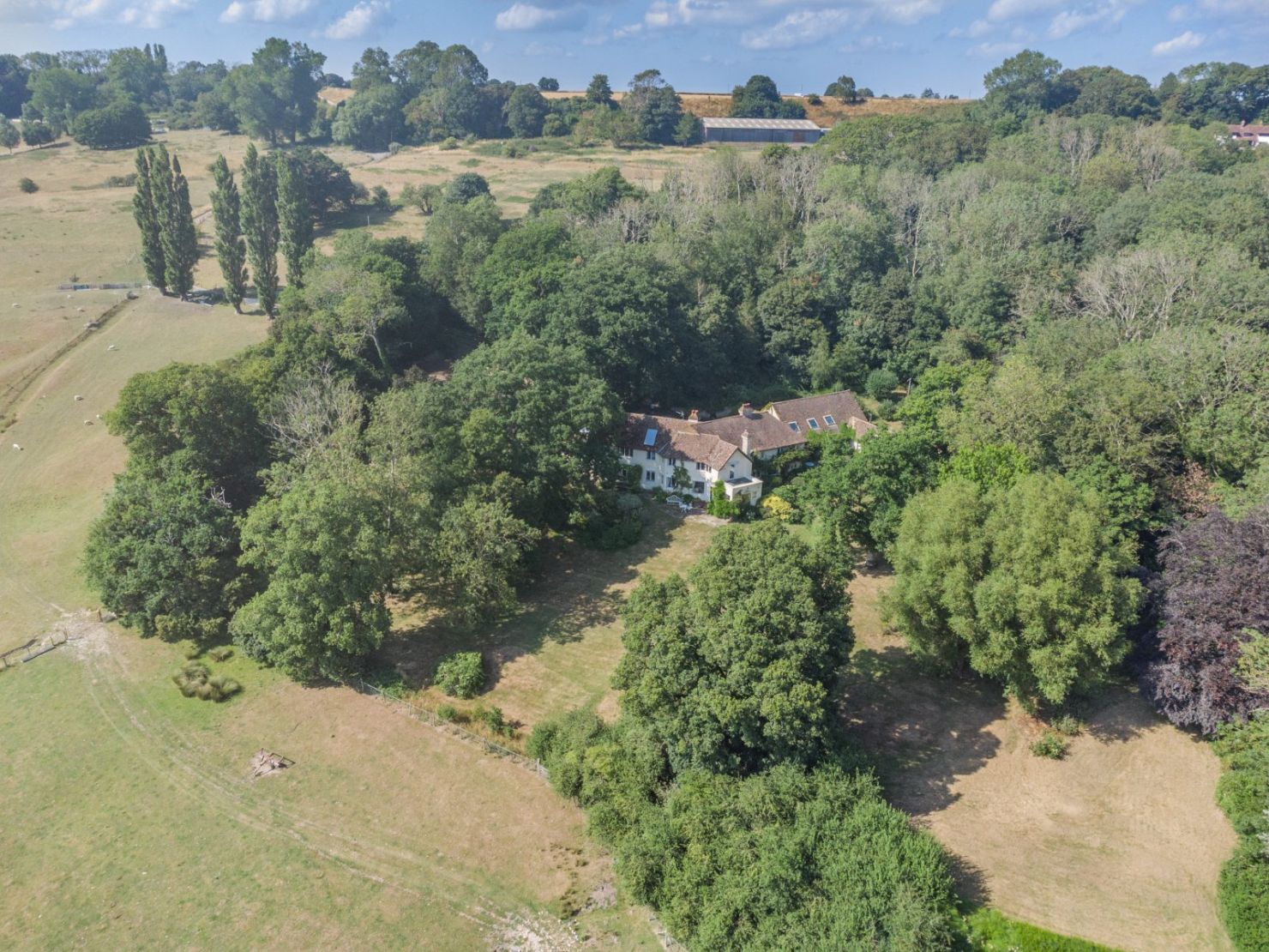 Aldergate Wood
