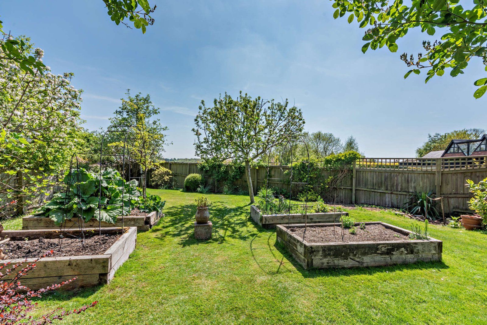 Vegetable Garden