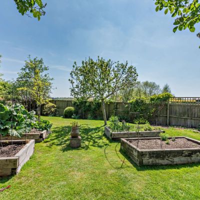 Vegetable Garden