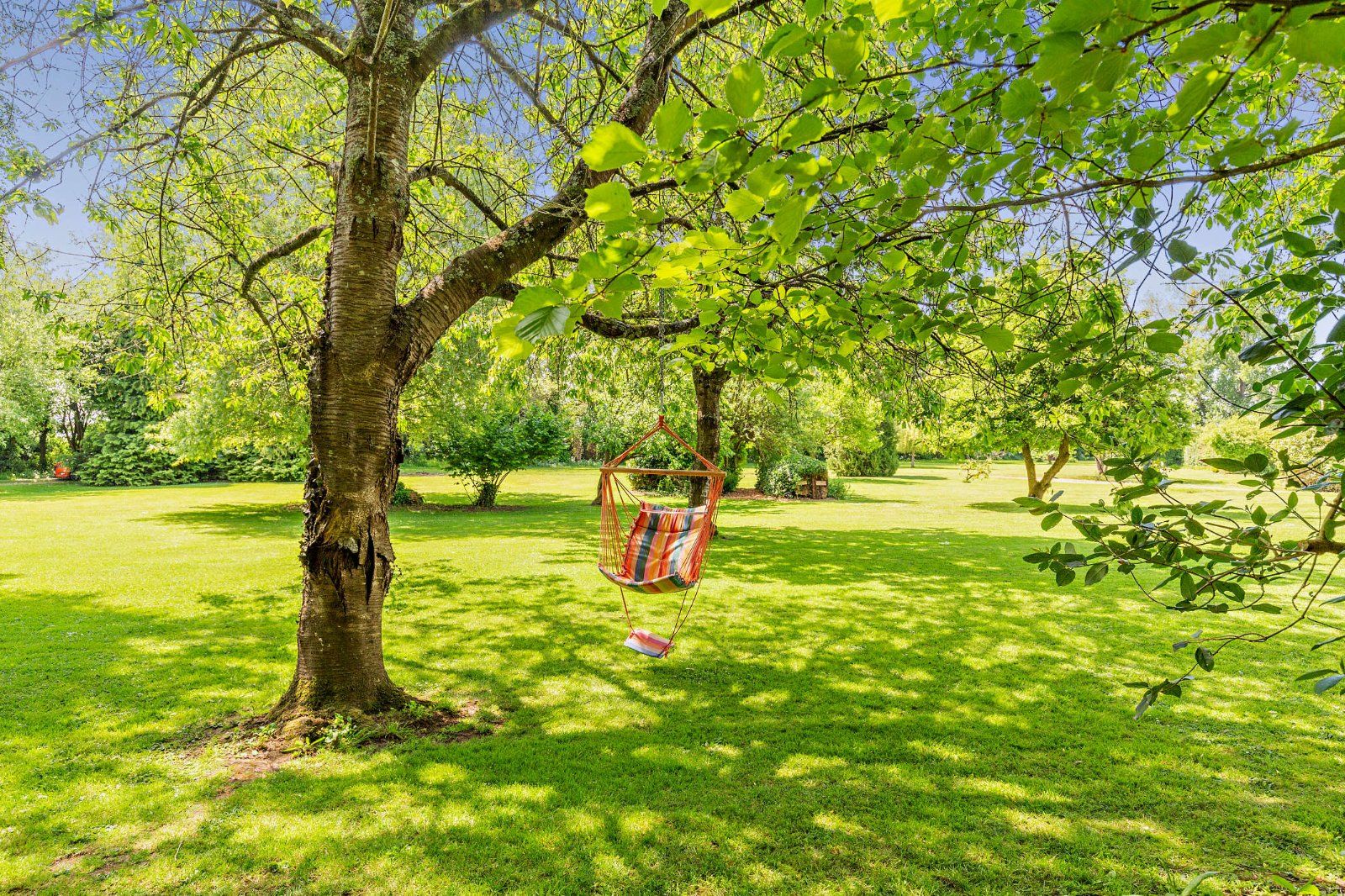 Grounds