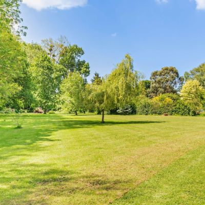 Grounds