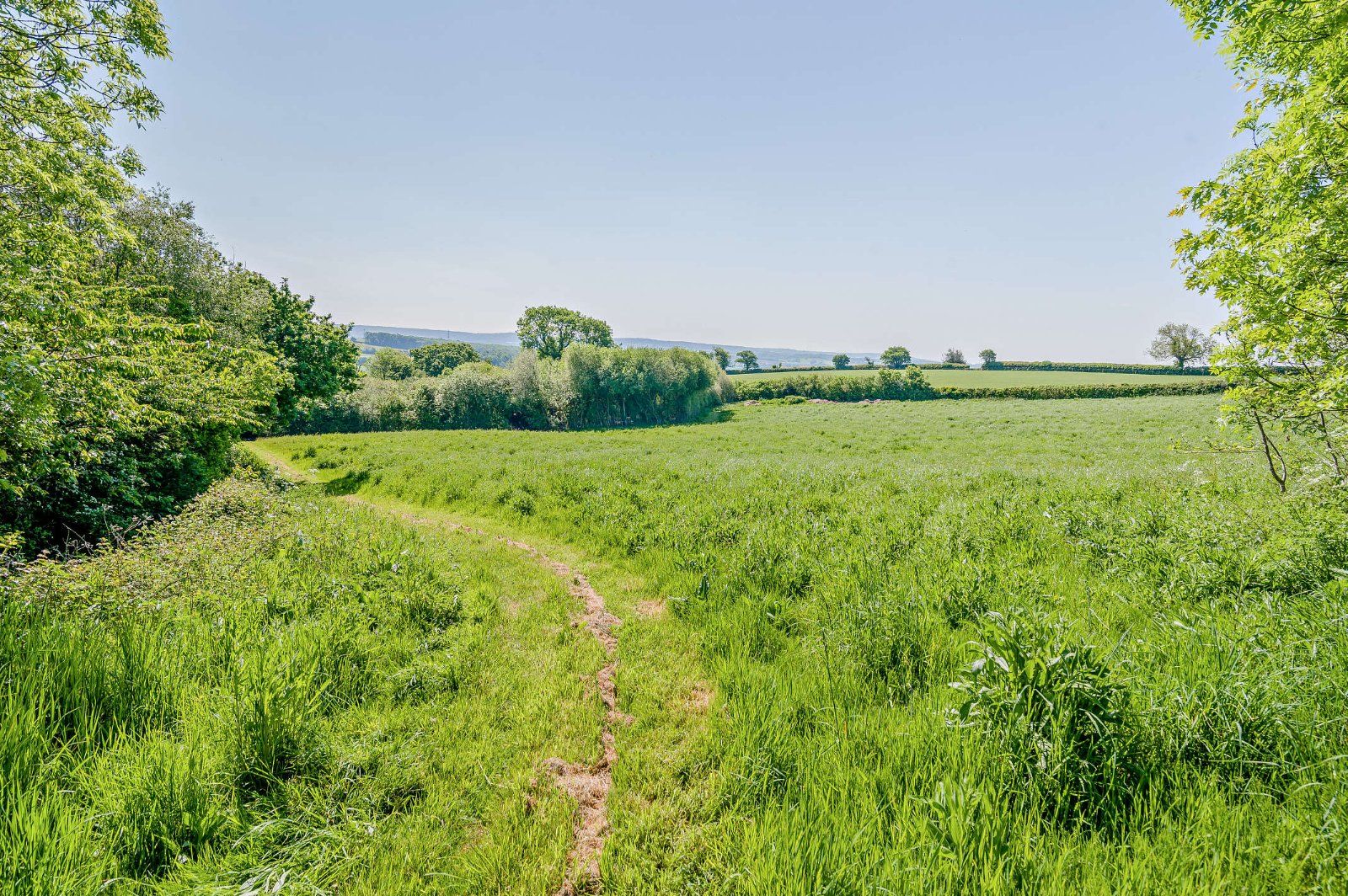 Grounds
