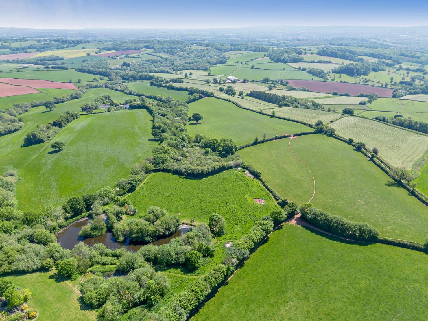 Grounds