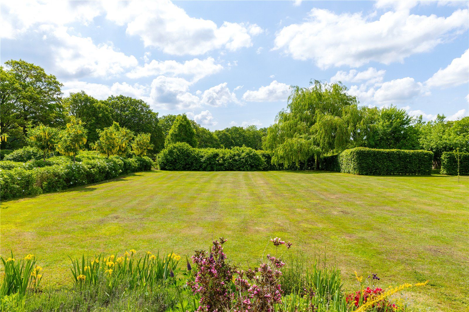 Lawns