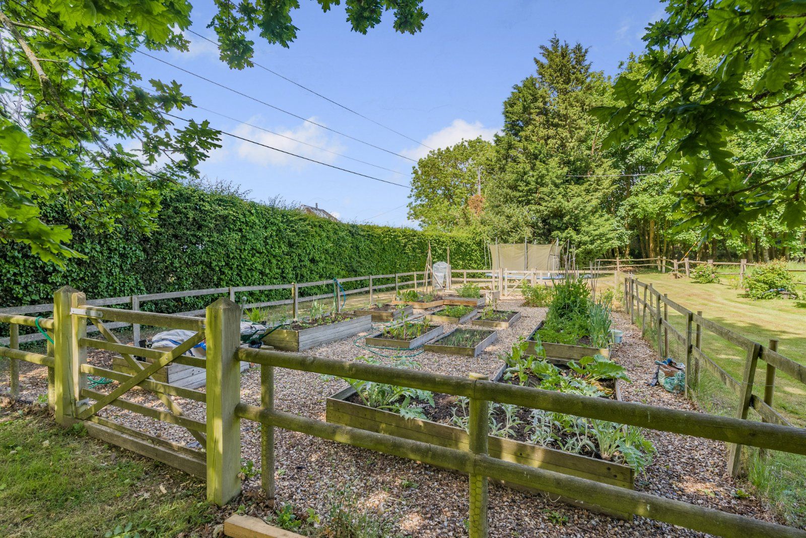 Garden