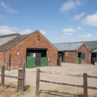 Lot 1