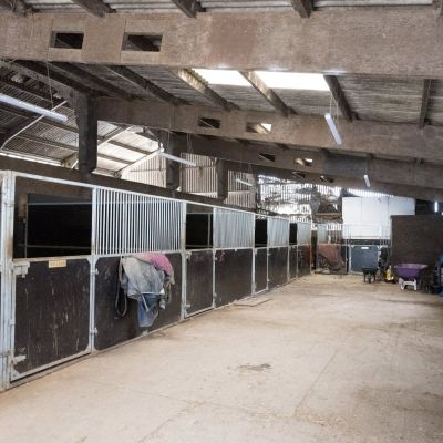 Lot 1