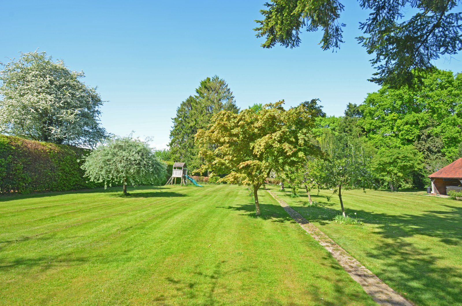 Picture No. 39